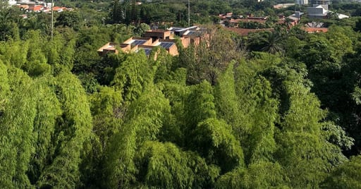 Pontificia Universidad Javeriana de Cali